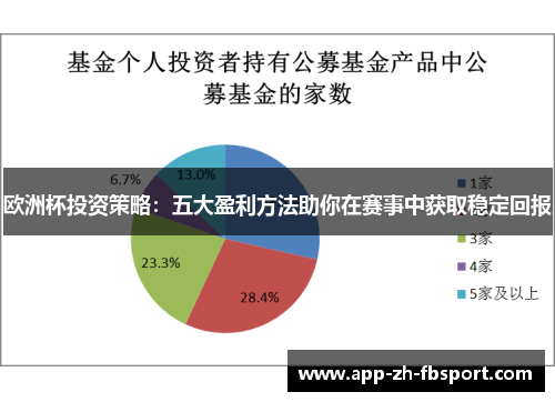 欧洲杯投资策略：五大盈利方法助你在赛事中获取稳定回报