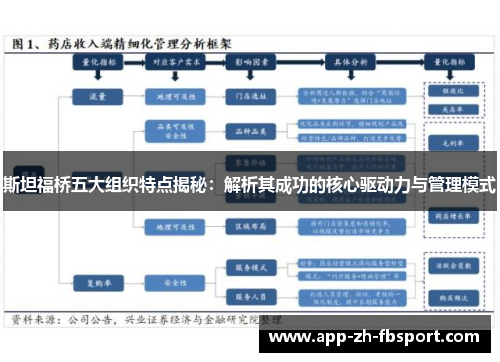 斯坦福桥五大组织特点揭秘：解析其成功的核心驱动力与管理模式