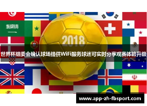 世界杯组委会确认球场提供WiFi服务球迷可实时分享观赛体验升级